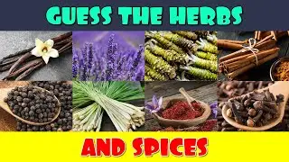Guess the Herbs and Spices Quiz