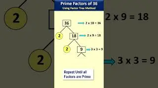 Factor tree of 36 | How to draw factor tree of 36 | Find factor tree of 36 | 36 factor tree