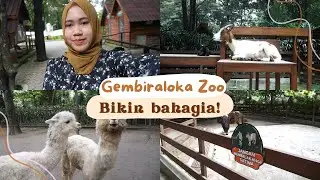 LIHAT SEMUA HEWAN DI GEMBIRALOKA ZOO JOGJA!