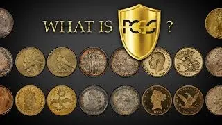 What is Professional Coin Grading Service?