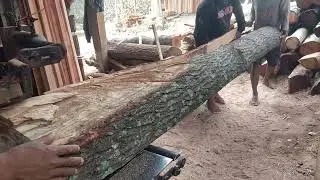 Penggergajian kayu suren 1 kubik pesanan tukang mebel