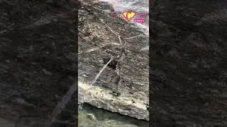 #quran