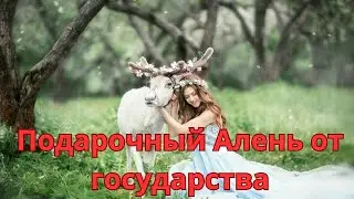 В ЗАГС насильно / Что делать, если сходил в ЗАГС