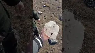 Не просто лёд) Сахалин
