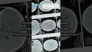Шокирующие факты об организме человека 