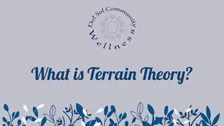 What is Terrain Theory?