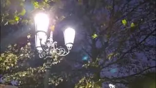 Красавица Грозненская Мечеть | ноябрь 2019, туризм в Чечне
