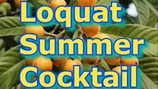 Summer Loquat Cocktail - DIY