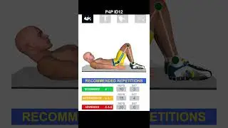 Abs exercises P4P ID12 #abs #exercise #p4p #absworkout #homeworkout #shorts
