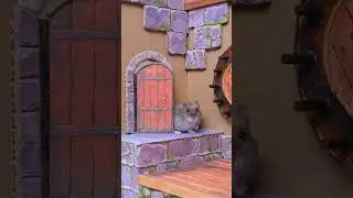 🐹 Hamster Treasure Dungeon 