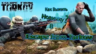 Стрим Новичок  в Таркове (Escape from Tarkov)