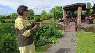 Видео журнал 