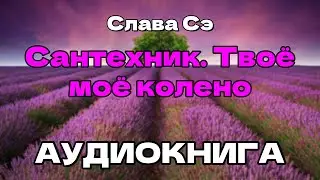 Аудиокнига Сантехник. Твоё моё колено