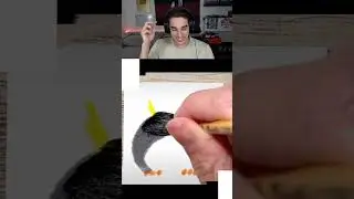Making Amazing Paintings With 1 Single Line