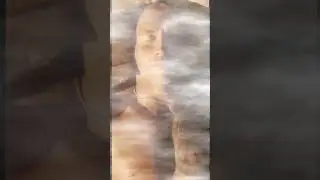 скала дуэйн джонсон спит