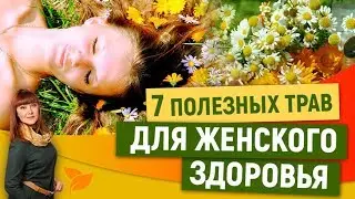 7 полезных трав для женского здоровья  Травная Магия с Алорией Собиновой