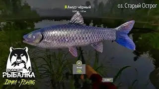 РУССКАЯ РЫБАЛКА 4.🐟ТОЧКА 21:67 ЧЁРНЫЙ АМУР. ОЗЕРО СТАРЫЙ ОСТРОГ.