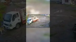 Волкодав Напал на Грузовик