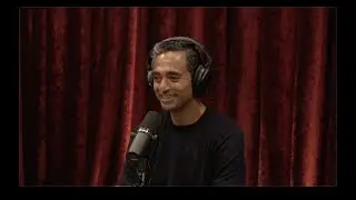 Joe Rogan Experience 