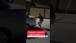 Альфредо сбежал Из ребцентра
