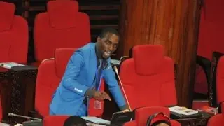 Mbunge Mlinga aomba mwongozo baada ya kuvuliwa kofia ya baraghashia na mbunge wa Chadema