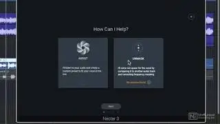 unmask and vocal assistant in Nectar 3