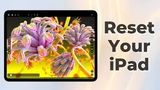 How To Erase and Factory Reset iPad (2024)