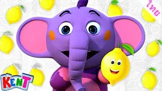 What Color is your Lemon - มะนาวของคุณสีอะไร | เพลงกล่อมเด็กและเพลงเด็ก | Kent The Elephant