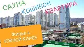 Квартира в ЮЖНОЙ КОРЕЕ: Ванрум, Кошивон и Сауна. Работа в Южной Корее