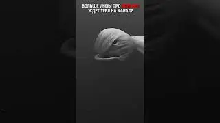 Нинген Ningen 