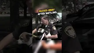 This dog promised to never leave his officer 🥺❤️ #shorts