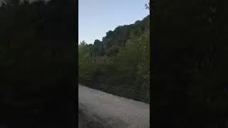 Kafeja e mengjesit ne fshat.13.08.2021 Metaksades.Evritanias.