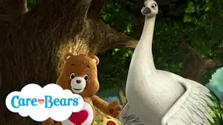 @carebears - Watching a Bird Grow Up! 🦢 | Short | Cartoons for Kids