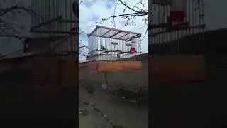 14 апреля 2021 г.