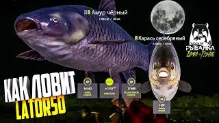 Русская рыбалка 4. 🎣 оз. Медвежье 🐋🐳💦 КАК ЛОВИТ LATORSO 👀
