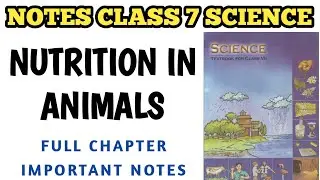 Notes Class 7 Nutrition in Animals | Science Chapter 2 Notes / Class 7 Science 