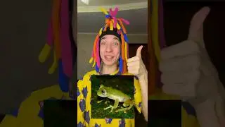 Угадай цвет лягушки за 3 секунды😂😆
