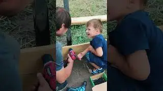 Бассейн за 100$ легко!#shorts