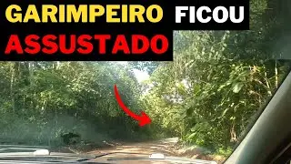 OLHA OQUE ACONTECEU NA ESTRADA #ouro
