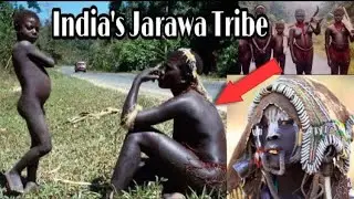 Andaman and nicobar Tribes video 