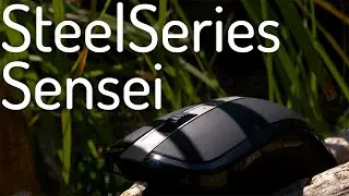 SteelSeries Sensei  Wireless Mouse (Late) Review