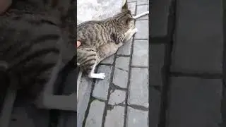 Ganggu aja ni orang lagi asik 😁😁😁