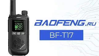 Рация BAOFENG BF-T17
