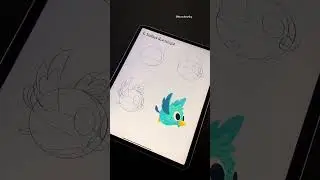 Bird animation in Procreate 😳😳😳 