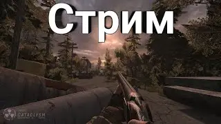 Project Cataclysm▷ Стрим по обнове