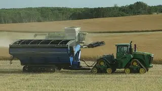 Canola Harvesting in Saskatchewan - Supercut Compilation