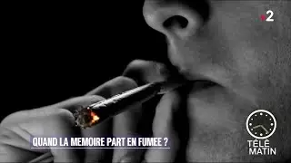 Santé - Arrêt du cannabis : la mémoire revient !