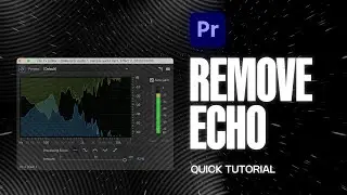 How to Remove Echo in Premiere Pro - Quick Tutorial