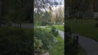 Теневой ЭкоСад от Дмитрия ГОССЕ ! 