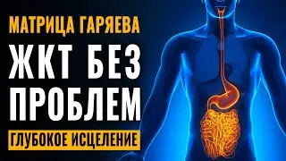 Stomach & Intestine Treatment Sound Therapy - Digestion Enhancement with the Healing Frequencies